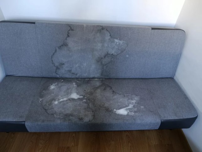 activclean2 przed